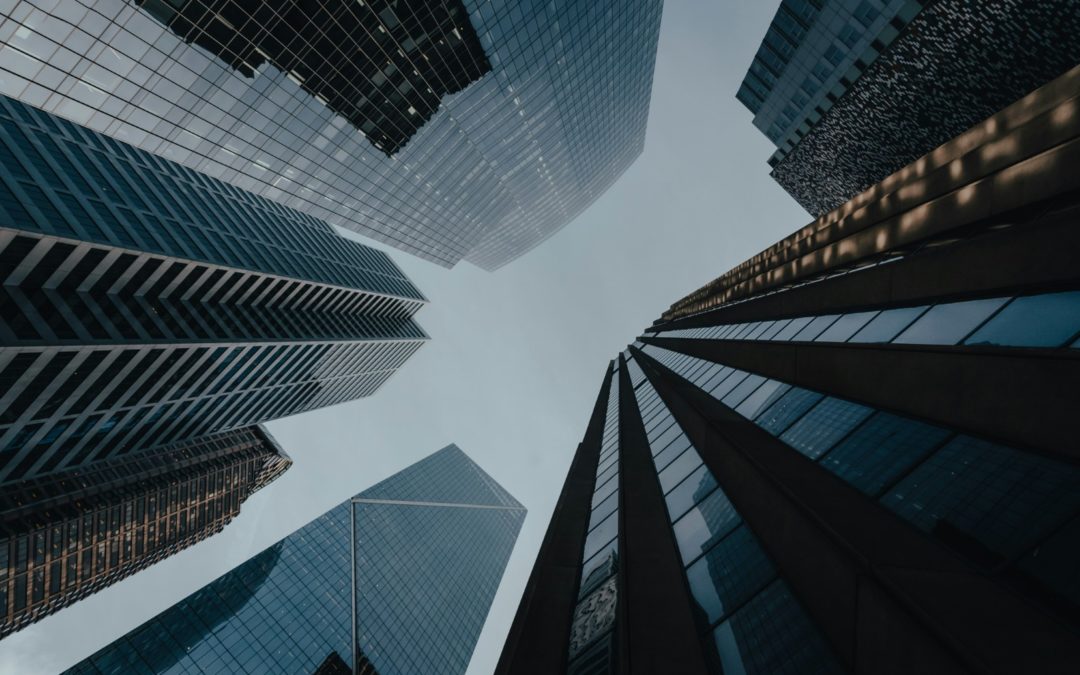 Newsletter | Noviembre 2025