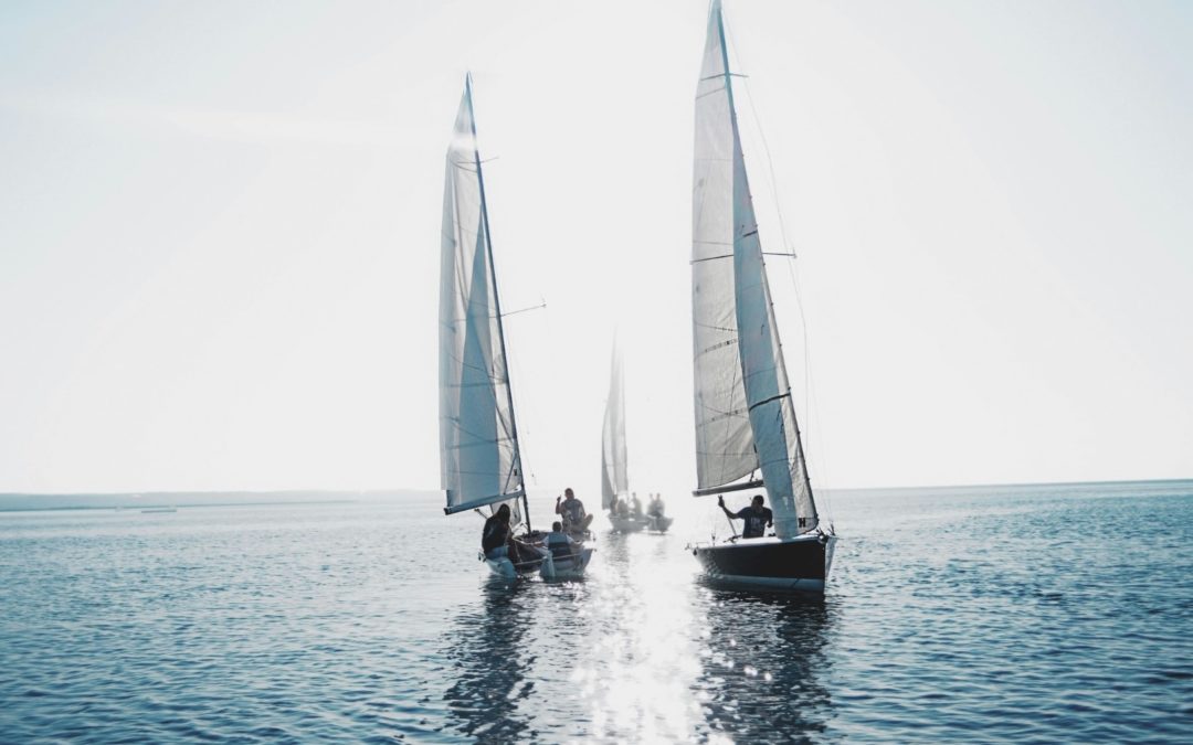 Newsletter September 2025